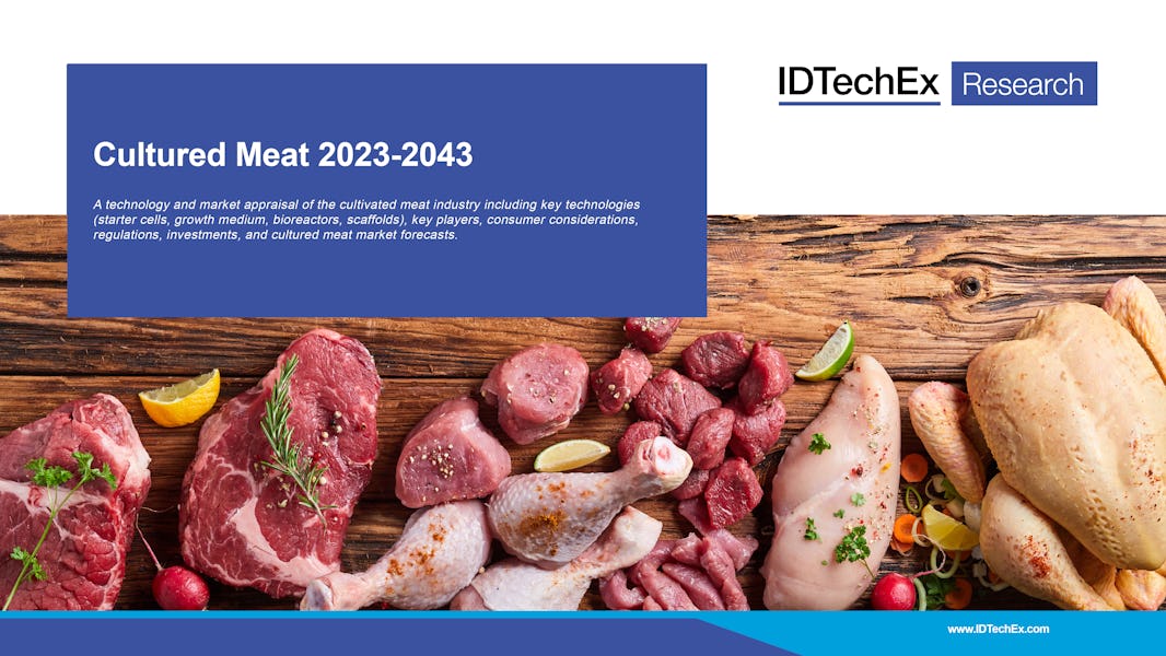Cultured Meat 2023-2043